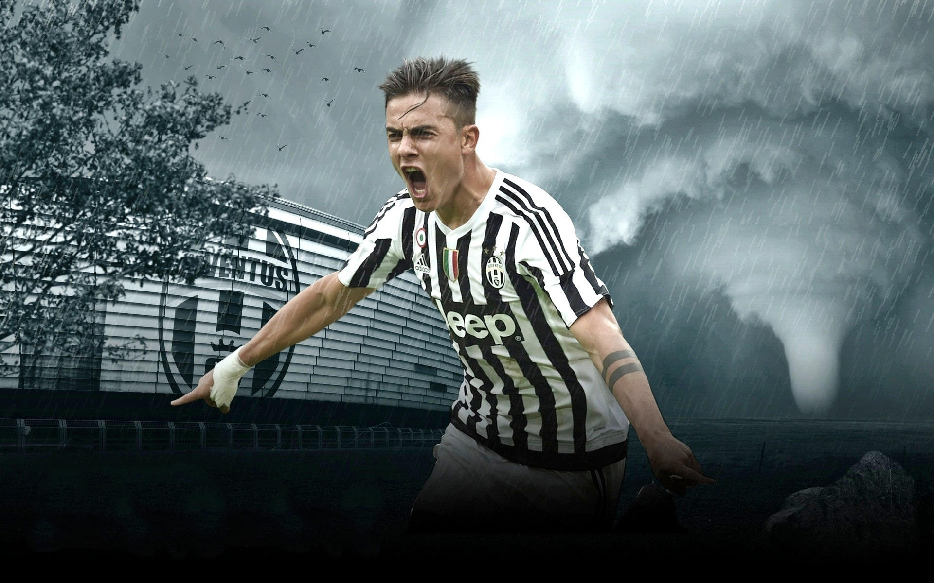 中超冠军悬 中超冠军悬